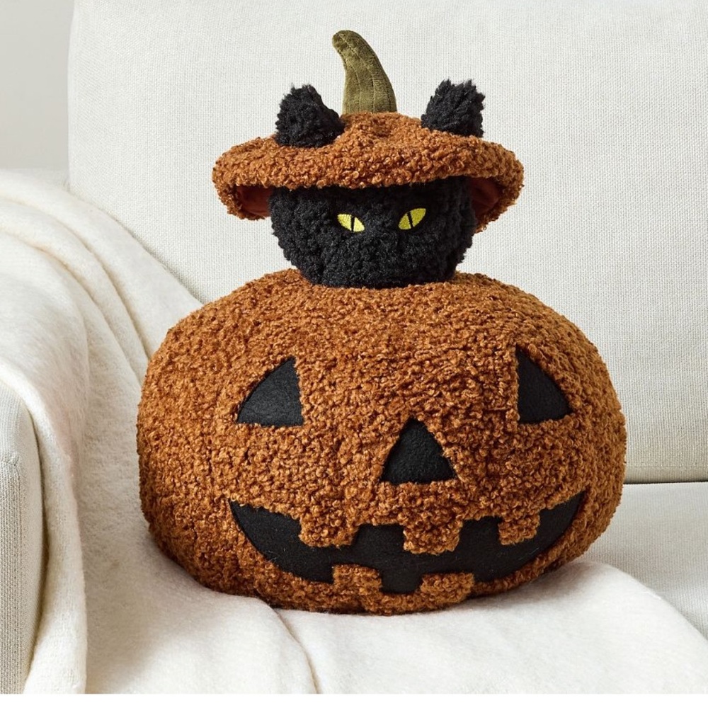🐈‍⬛ NWT Peek A Boo Black Cat Pillow by Pottery Barn- Halloween